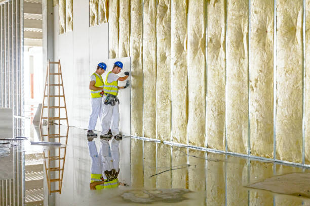 Best Types of Insulation in Hermosa Beach, CA